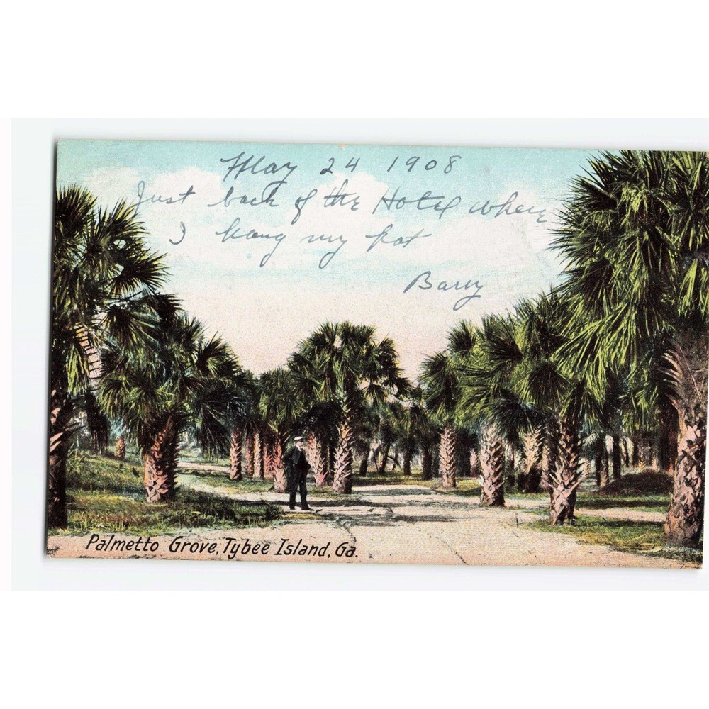 Vintage 1908 Tybee Island Georgia Postcard Palmetto Grove Hugh C Leighton Co